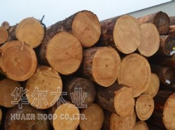 长海县大连木材加工